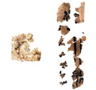 tool C4.jpg